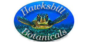 Hawksbill Botanicals